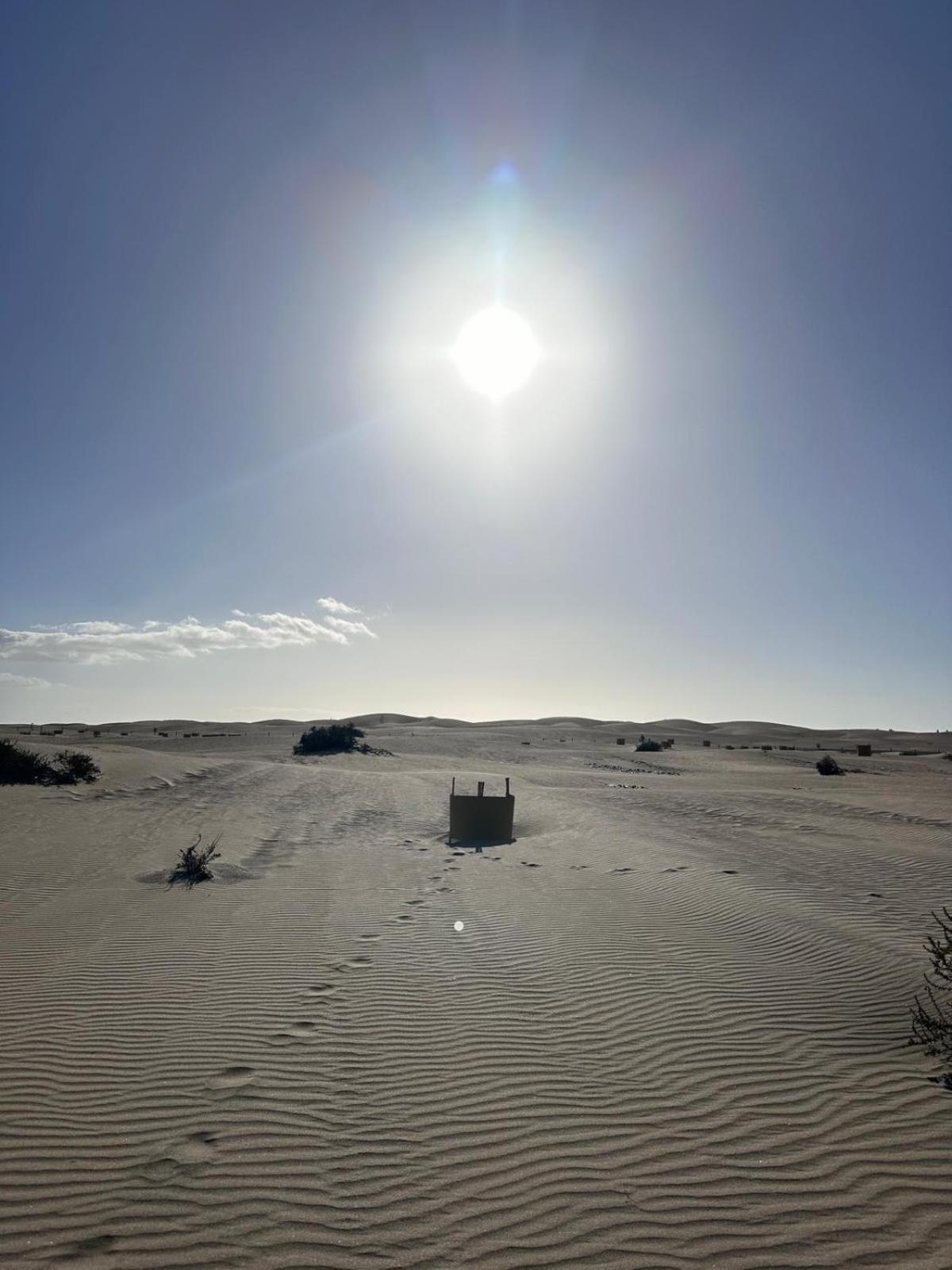 Bungalow Oasis Canaria Maspalomas  Eksteriør billede