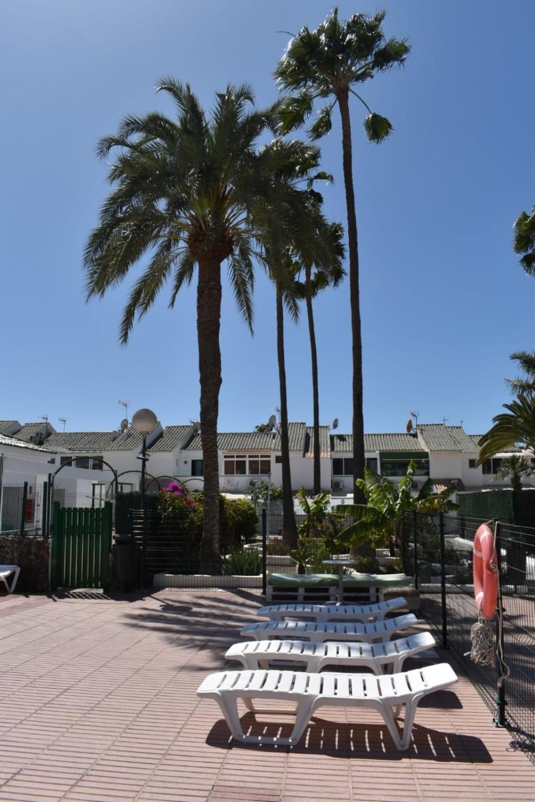 Bungalow Oasis Canaria Maspalomas  Eksteriør billede
