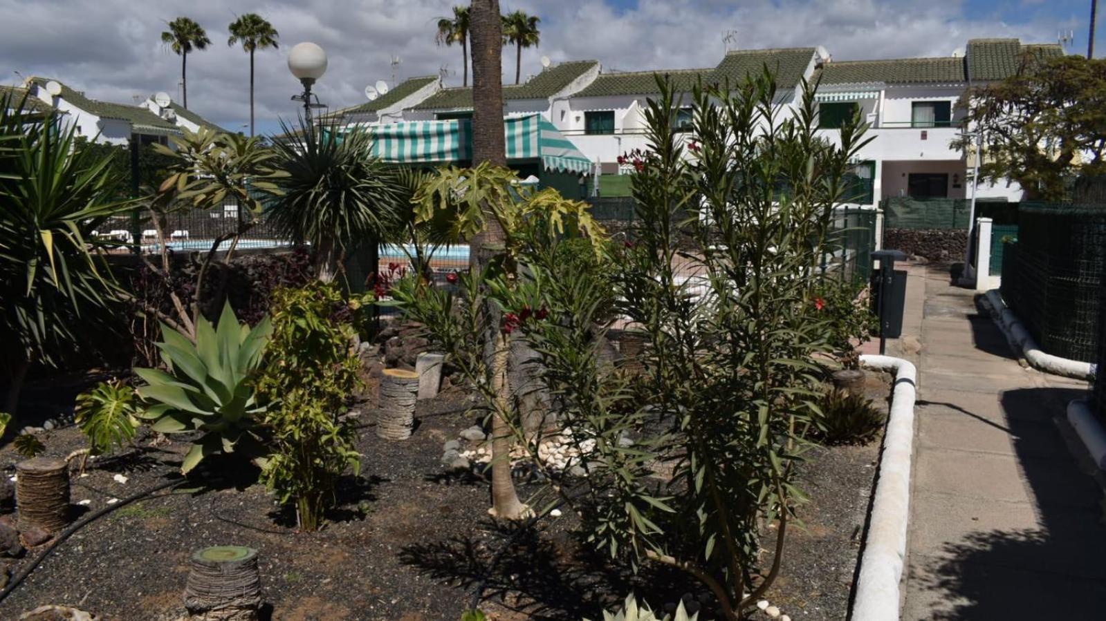 Bungalow Oasis Canaria Maspalomas  Eksteriør billede
